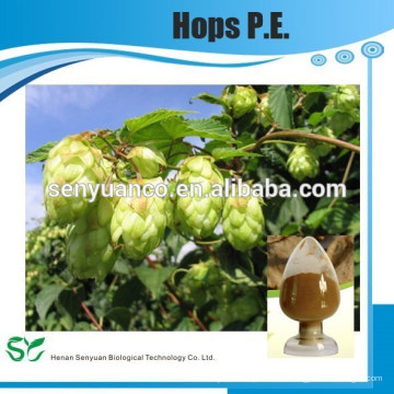 GMP Herstellerversorgung 100% Bio Humulus Lupulus Pe